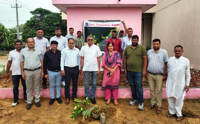 Tree Plantation